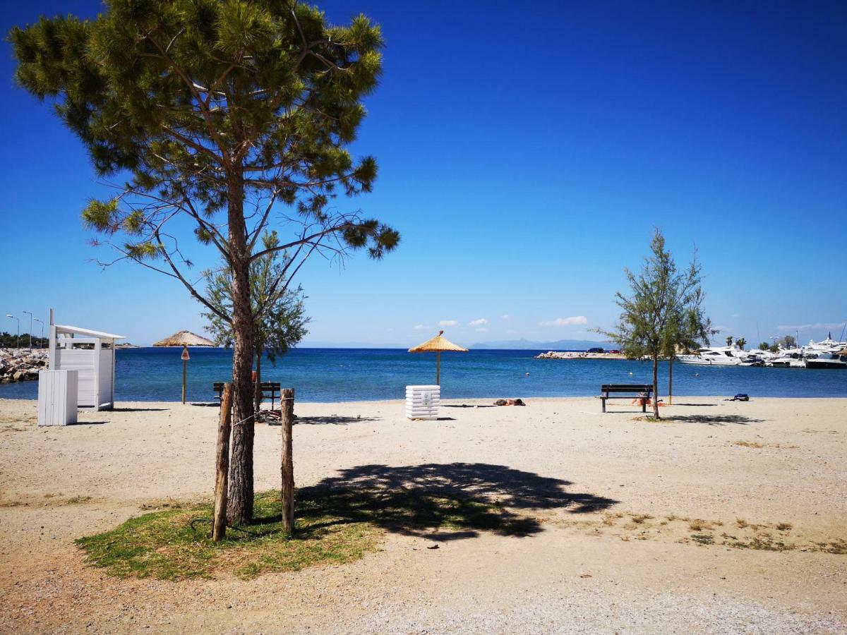 Sea&Sun Glyfada Apartment เอเธนส์ ภายนอก รูปภาพ